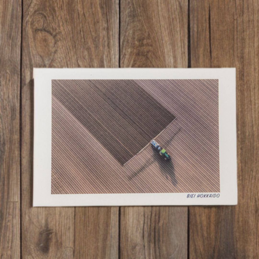 写真家 坪井 智洋 美瑛の風景 フォトカード 12枚セット [006-21]