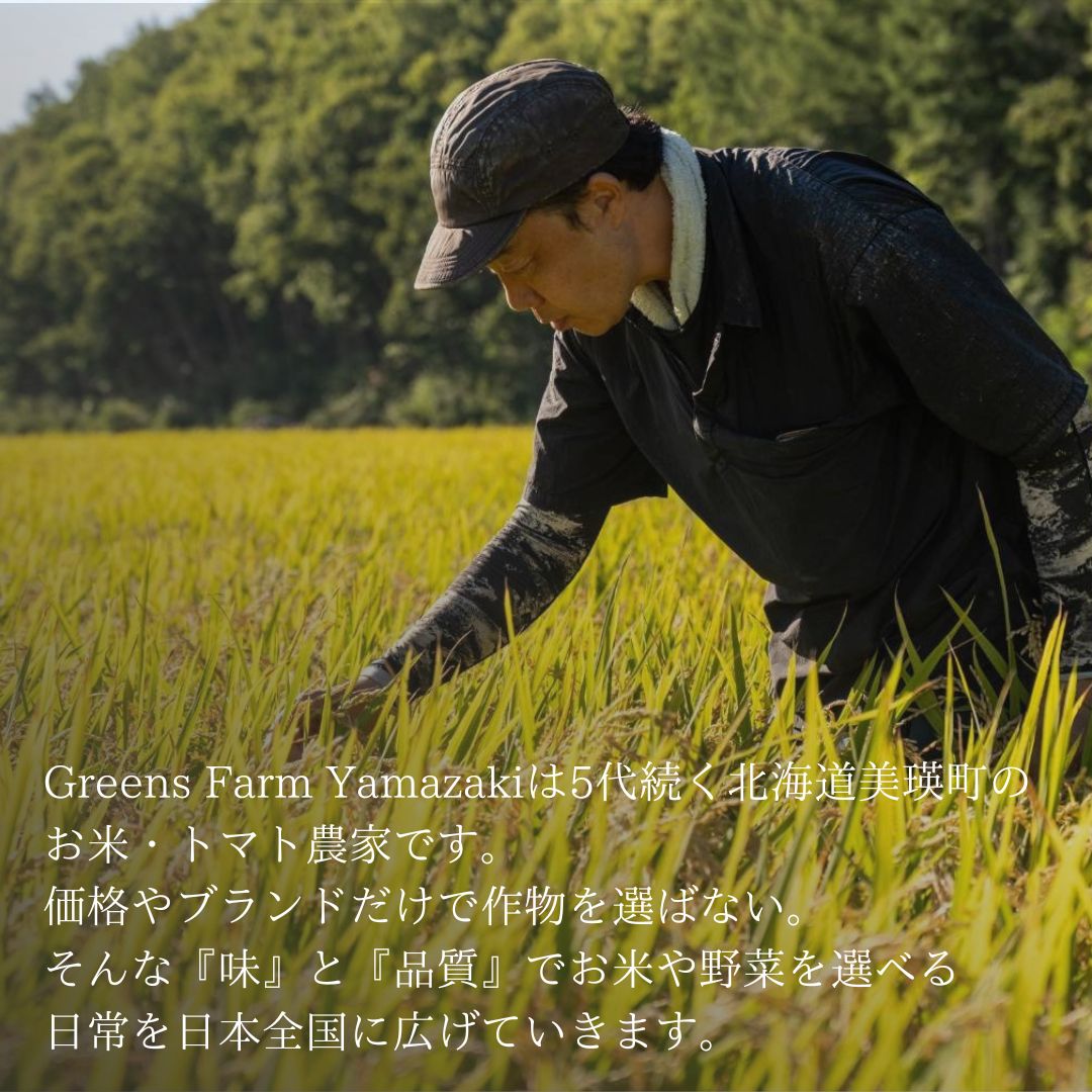 <令和7年産>Greens Farm Yamazaki　朝日の豊栄米(ゆめぴりか)2kg定期便 3ヶ月  [030-103]