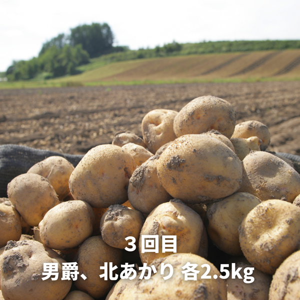 【令和８年産予約受付！】黒木農場　野菜の定期便（３回便）[029-15]