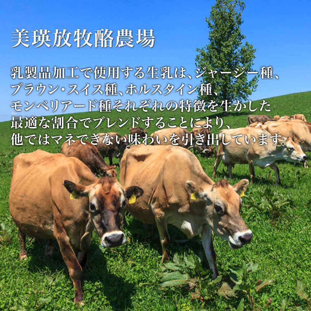 美瑛放牧酪農場　フロマージュ・ド・美瑛 定期便　100g×10個 6ヶ月[270-01]