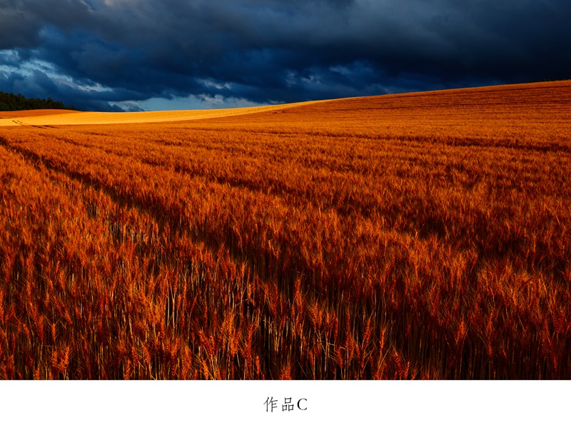 写真家　中西敏貴　額付き写真（サイン入り）[250-04]