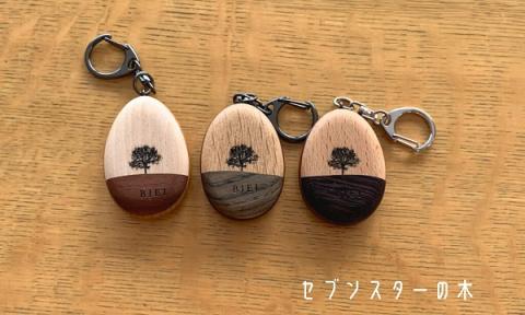 貴妃花　木ーホルダー[006-14]