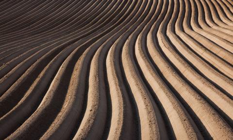 写真家　中西敏貴　A４フォトカード　３枚セットB　[010-205]