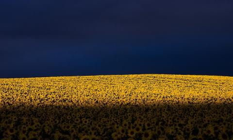 写真家　中西敏貴　A４フォトカード　３枚セットC　[010-206]