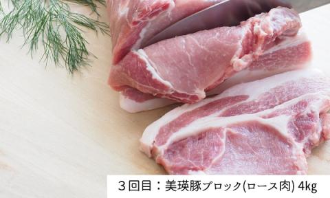 美瑛豚の定期便B《３回便》[059-07]