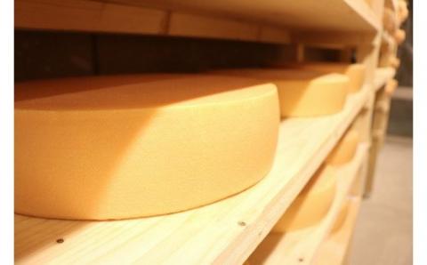 美瑛放牧酪農場Dセット[025-18]