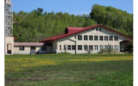 キトテ工作「美瑛産木材の家具」　Cervi チェア[110-06]