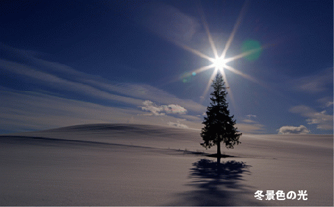 写真家　阿部俊一　額付き写真[120-06]
