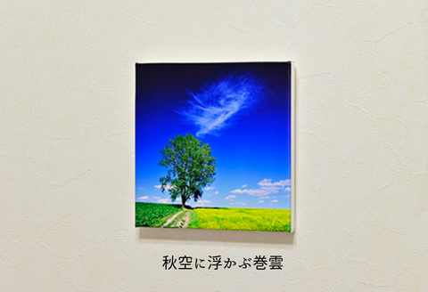 写真家　阿部俊一　キャンバスプリント(２２８mｍ × ２２８ｍｍ)[022-33]