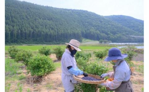 Ｈａｎａ　ｌａ　ｍｏｍ　ビエイブルージャムと野菜ジャム３本セット[011-38]