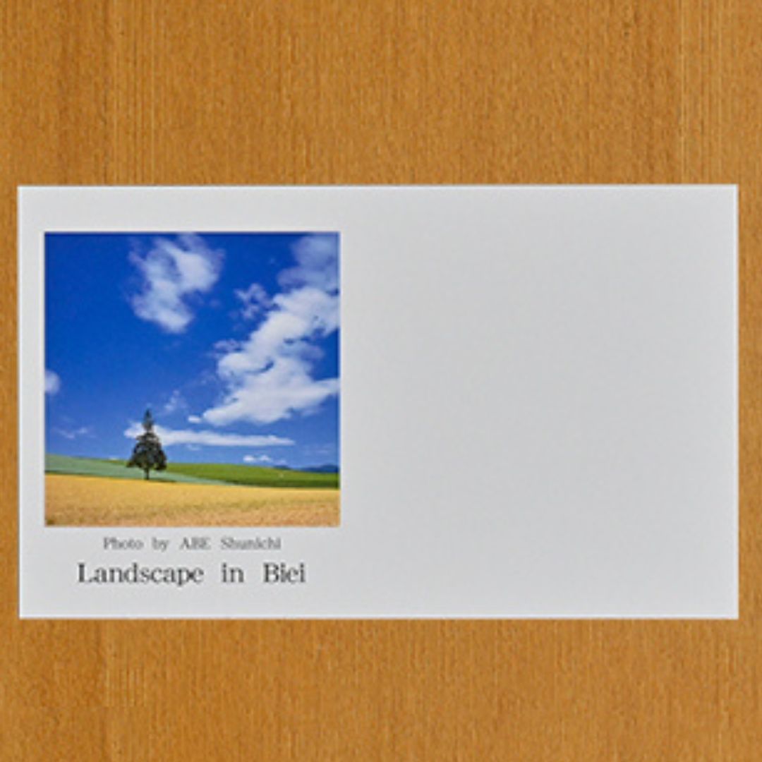 写真家　阿部俊一　名刺台紙・メッセージカード１００枚(B)[005-06]