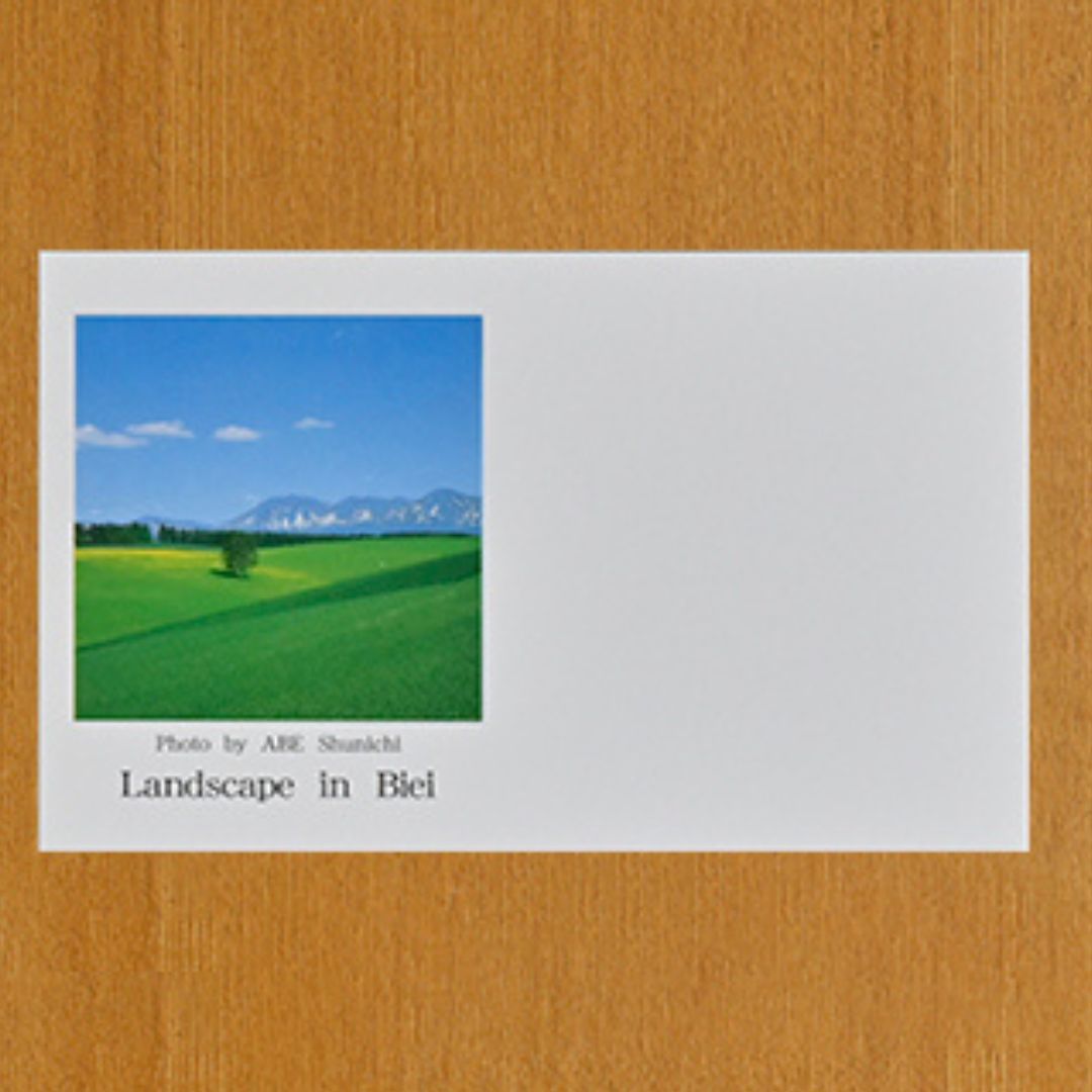 写真家　阿部俊一　名刺台紙・メッセージカード１００枚(D)[005-26]