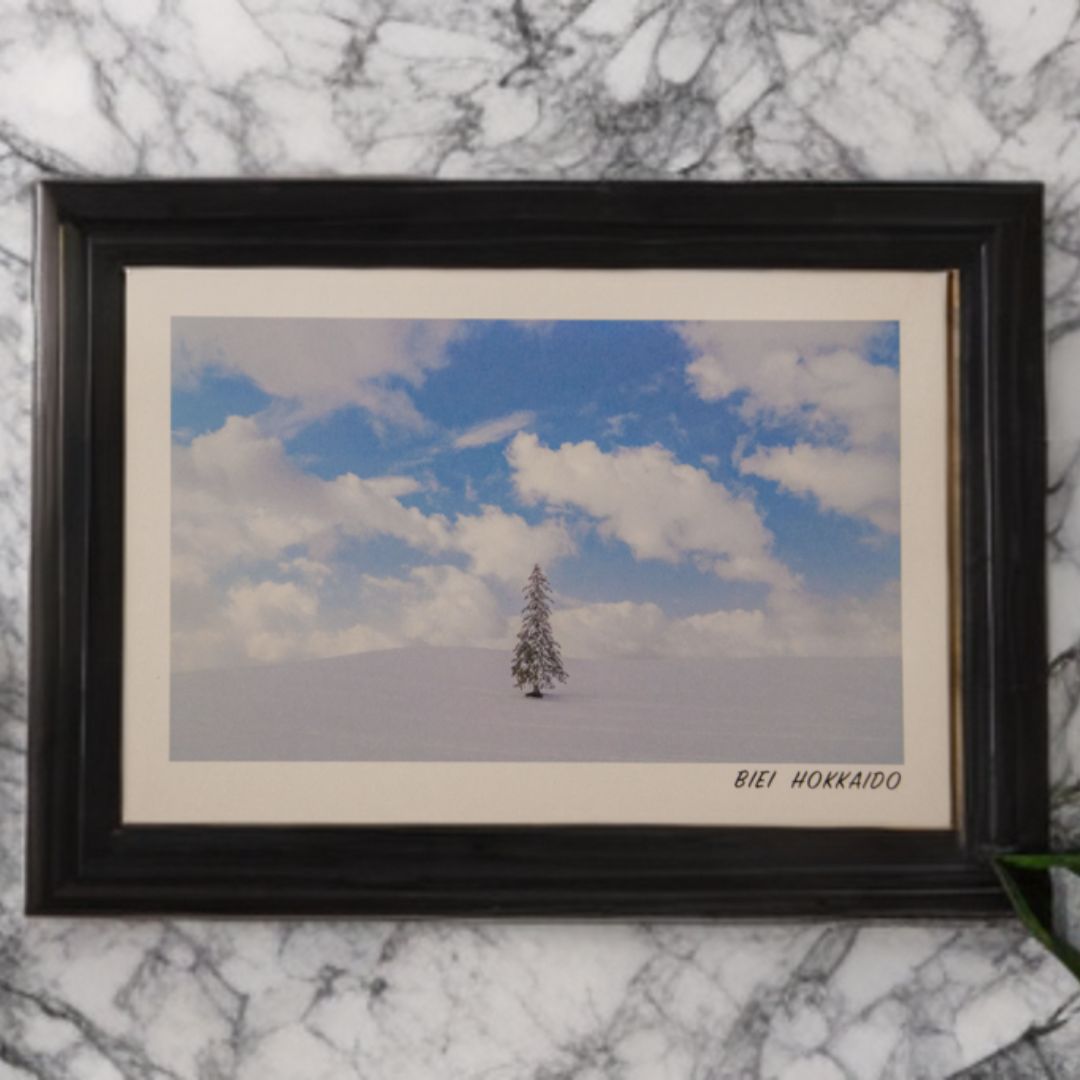 写真家 坪井 智洋 美瑛の風景 フォトカード 12枚セット [006-21]