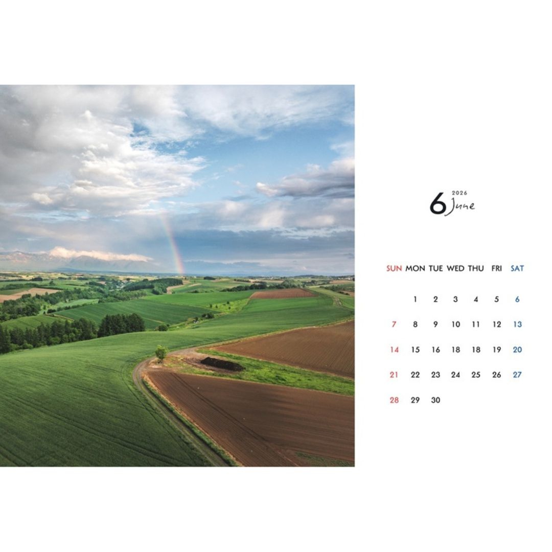 写真家 坪井 智洋 美瑛の風景 2026年卓上カレンダー  [006-22]