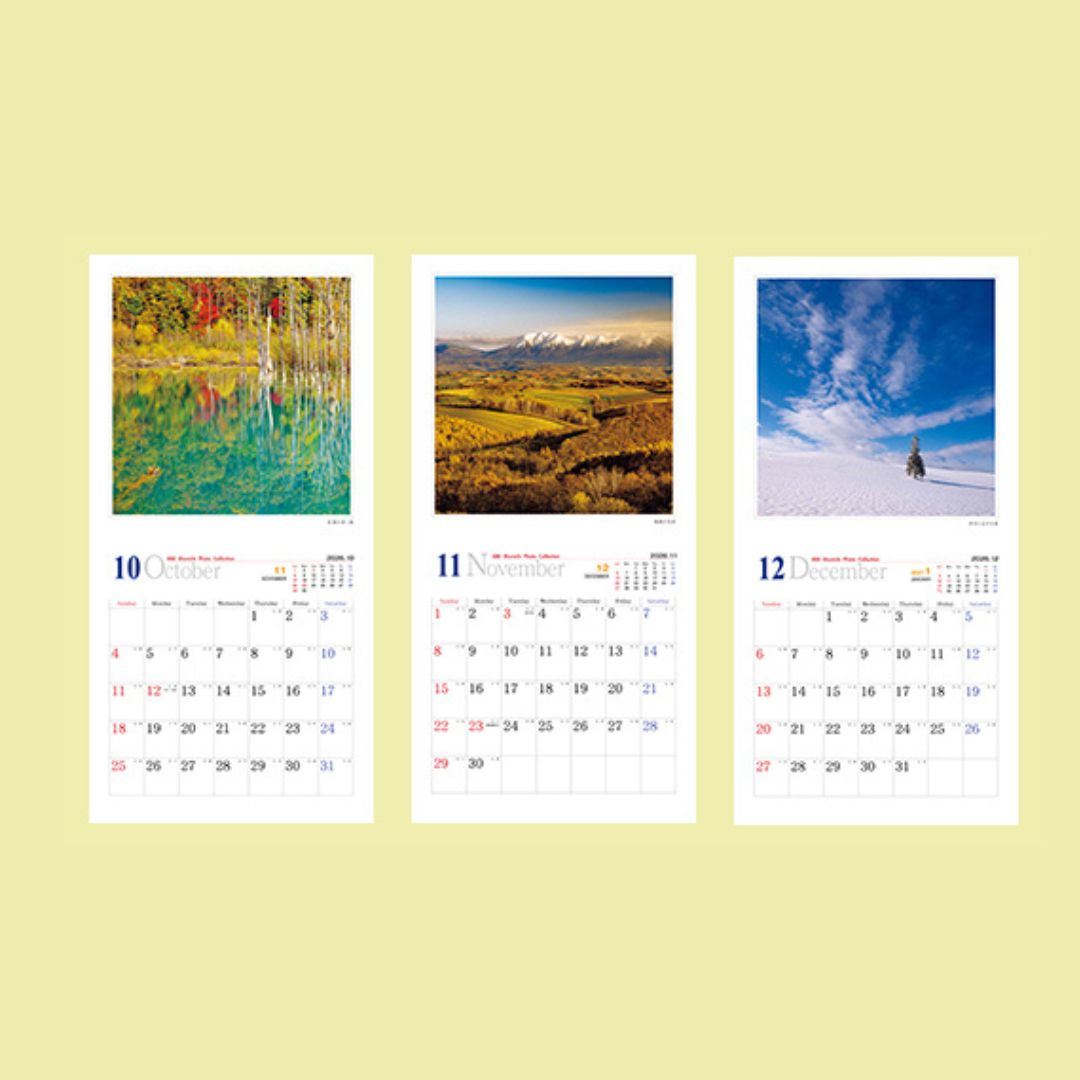 写真家　阿部俊一　2026年壁掛けカレンダー[009-35]