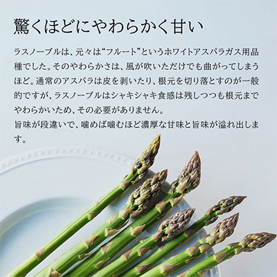 【令和8年産先行予約】北海道 美瑛町幻のアスパラ 本山農場のラスノーブル（グリーンアスパラ）2S～Sサイズ 2kg ≪2回便≫[032-20]