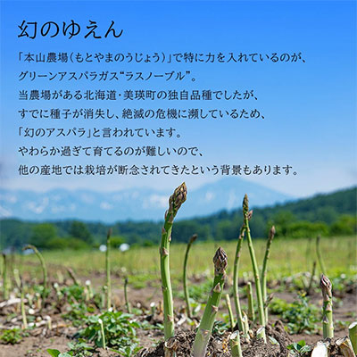 【令和8年産先行予約】北海道 美瑛町幻のアスパラ 本山農場のラスノーブル（グリーンアスパラ）≪訳あり≫ 2kg ≪2回便≫ [038-12]