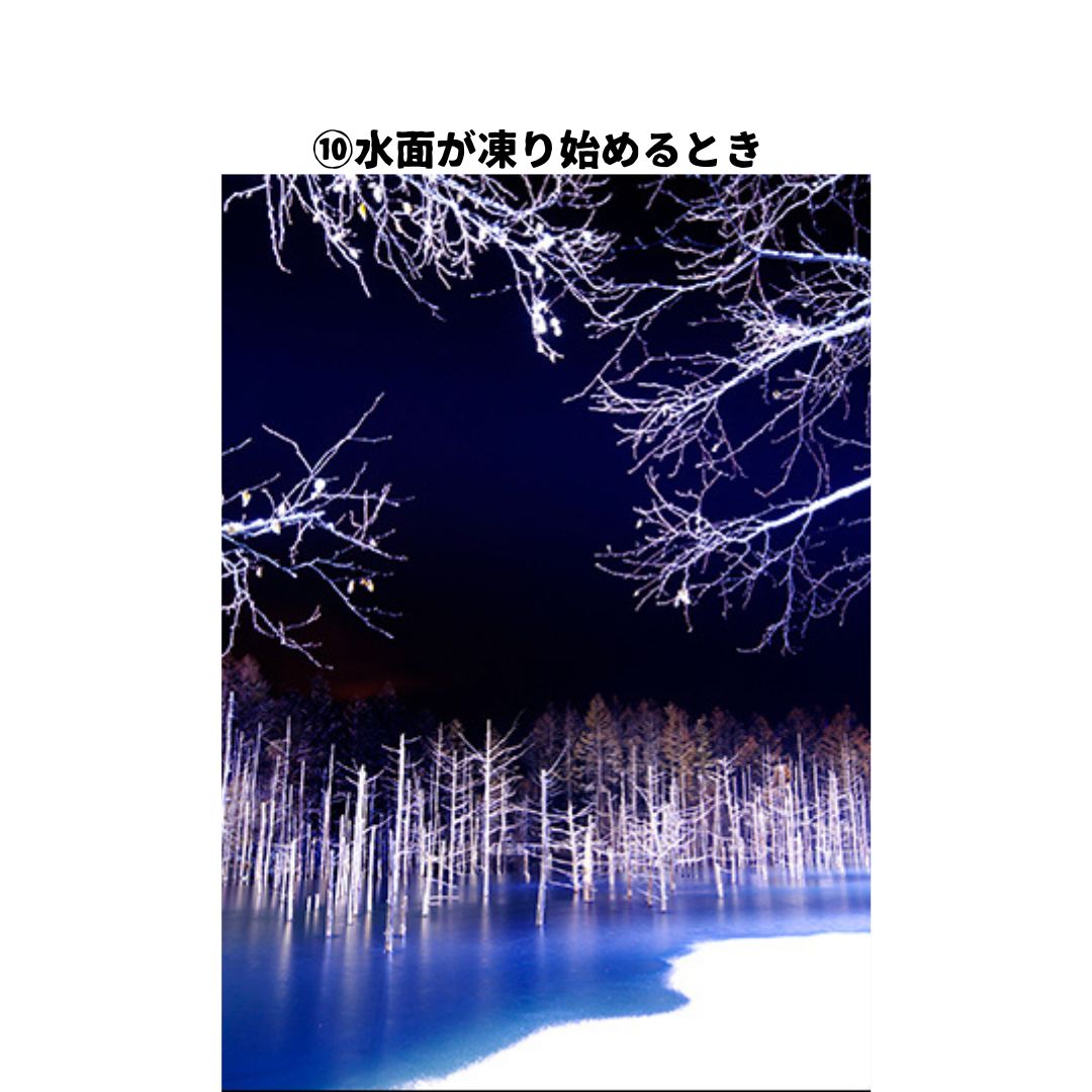 写真家　阿部俊一　額付き写真[036-20]