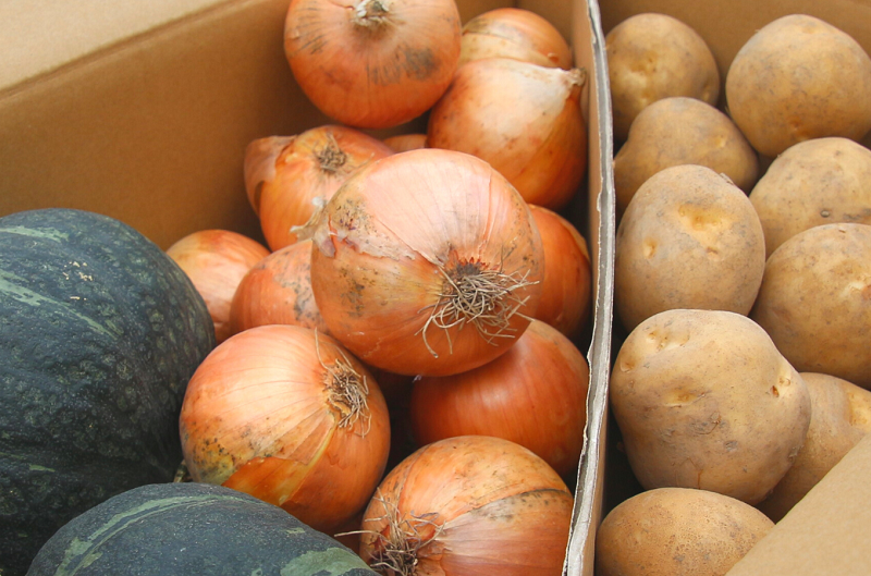 ≪令和８年産予約受付！≫美景農園　野菜の定期便（５回）[085-03]