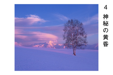 前田真三 額付き写真（黒額） 四切サイズ[120-10]