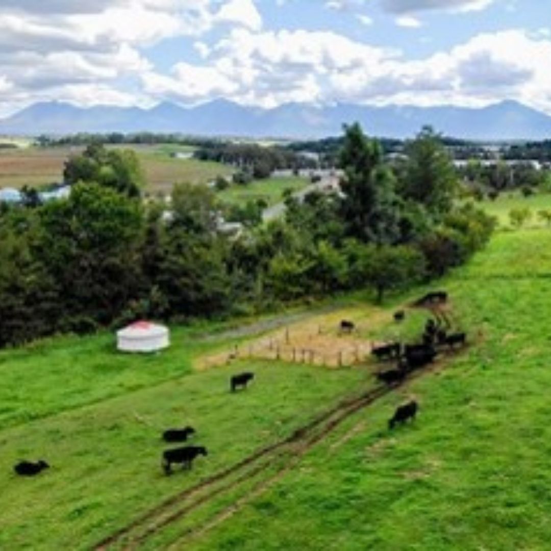 ファームズ千代田　「びえい和牛」お肉食べ比べセットA　定期便(各360g×３ヶ月)[159-01]
