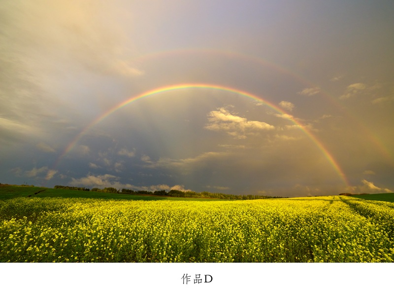 写真家　中西敏貴　額付き写真（サイン入り）[250-04]