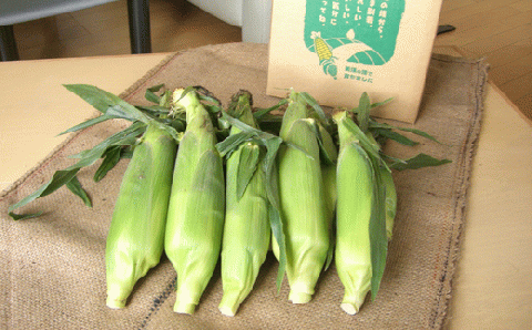 【令和８年産予約受付！】黒木農場　とうもろこし（ほしつぶコーン）２０本[016-90]