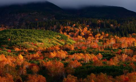 写真家　中西敏貴　A４フォトカード　３枚セットA　[010-204]