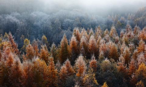 写真家　中西敏貴　A４フォトカード　３枚セットB　[010-205]