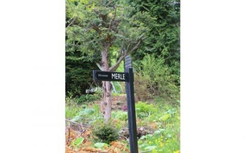 MERLE　ロカボチョコレートタルト[016-21]