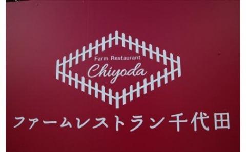 びえい牛ビーフカレー・スープカレー・シチューセット[016-24]