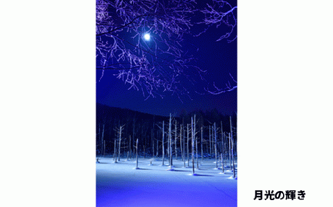 写真家　阿部俊一　額付き写真[120-06]