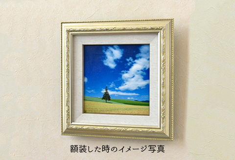 写真家　阿部俊一　キャンバスプリント(２２８mｍ × ２２８ｍｍ)[022-33]