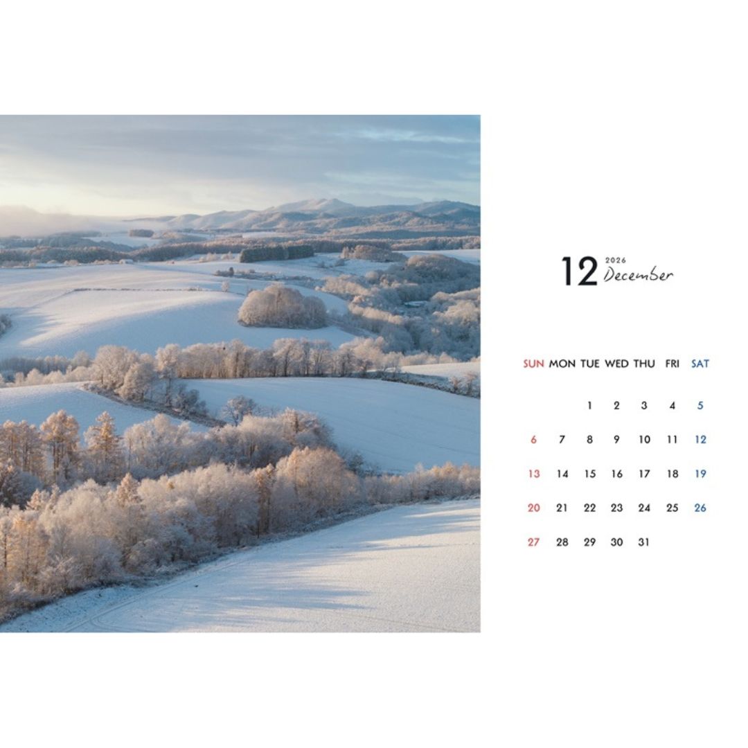 写真家 坪井 智洋 美瑛の風景 2026年卓上カレンダー  [006-22]