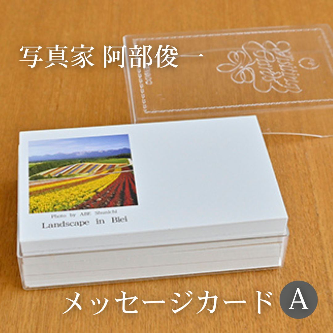 写真家　阿部俊一　名刺台紙・メッセージカード１００枚(A)[005-05]