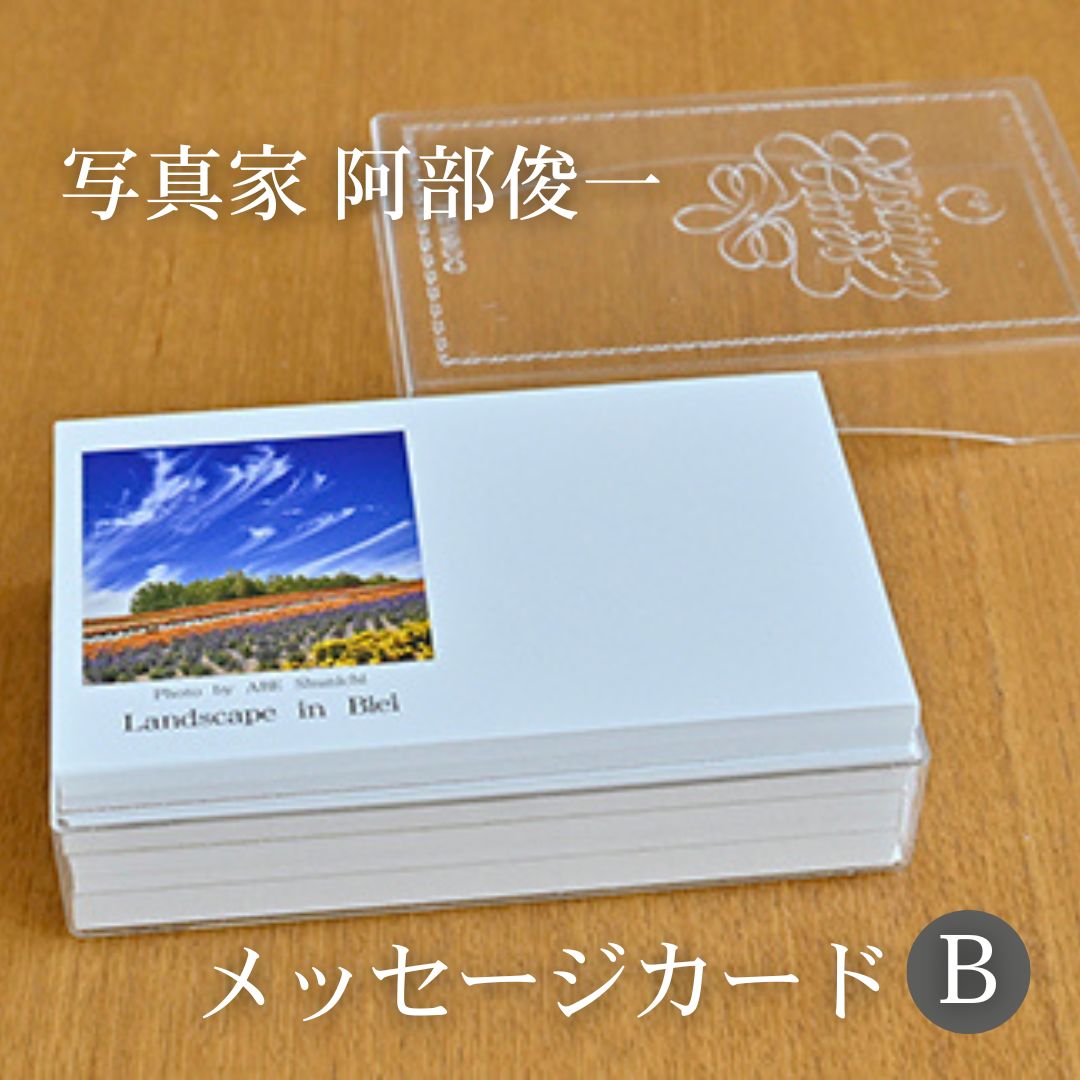 写真家　阿部俊一　名刺台紙・メッセージカード１００枚(B)[005-06]