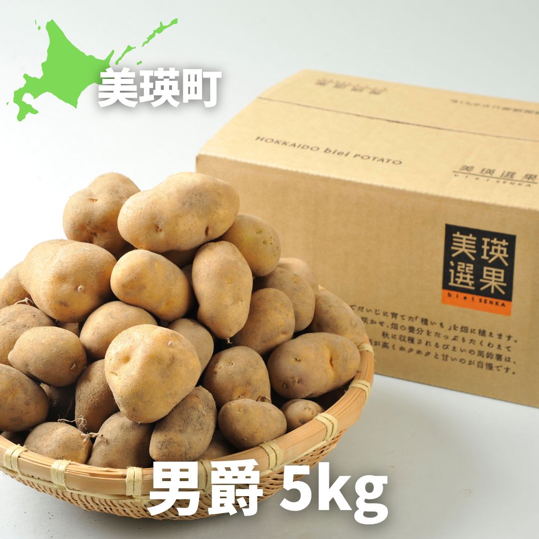 ≪令和８年産予約受付！≫美瑛選果　美瑛町産男爵5kg[007-32]