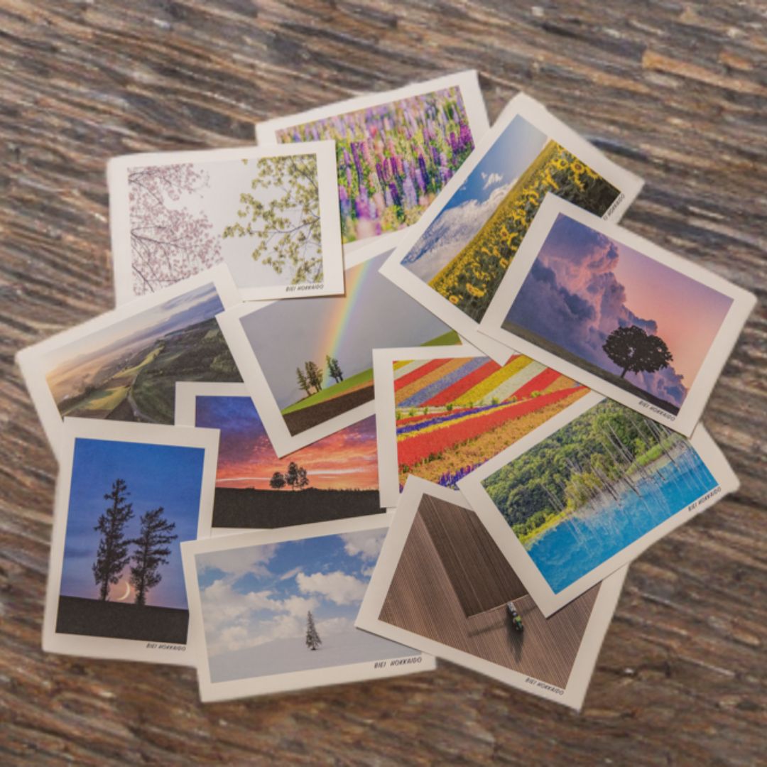 写真家 坪井 智洋 美瑛の風景 フォトカード 12枚セット [006-21]