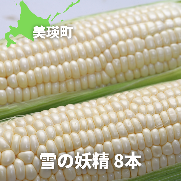 【令和８年産予約受付！】黒木農場　とうもろこし（雪の妖精）８本[009-33]