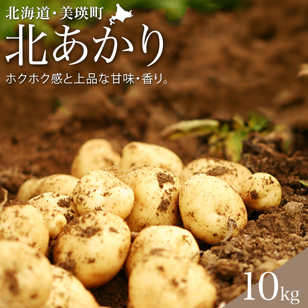 【令和８年産予約受付！】黒木農場　じゃがいも（北あかり）10kg[010-214]