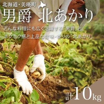 【令和８年産予約受付！】黒木農場　じゃがいも（男爵・北あかり）計10kg[010-211]