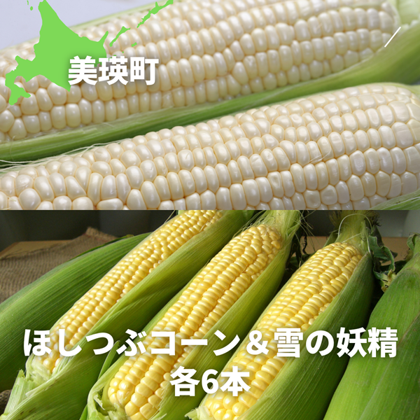【令和８年産予約受付！】黒木農場　とうもろこし（ほしつぶコーン＆雪の妖精）各６本[011-58]