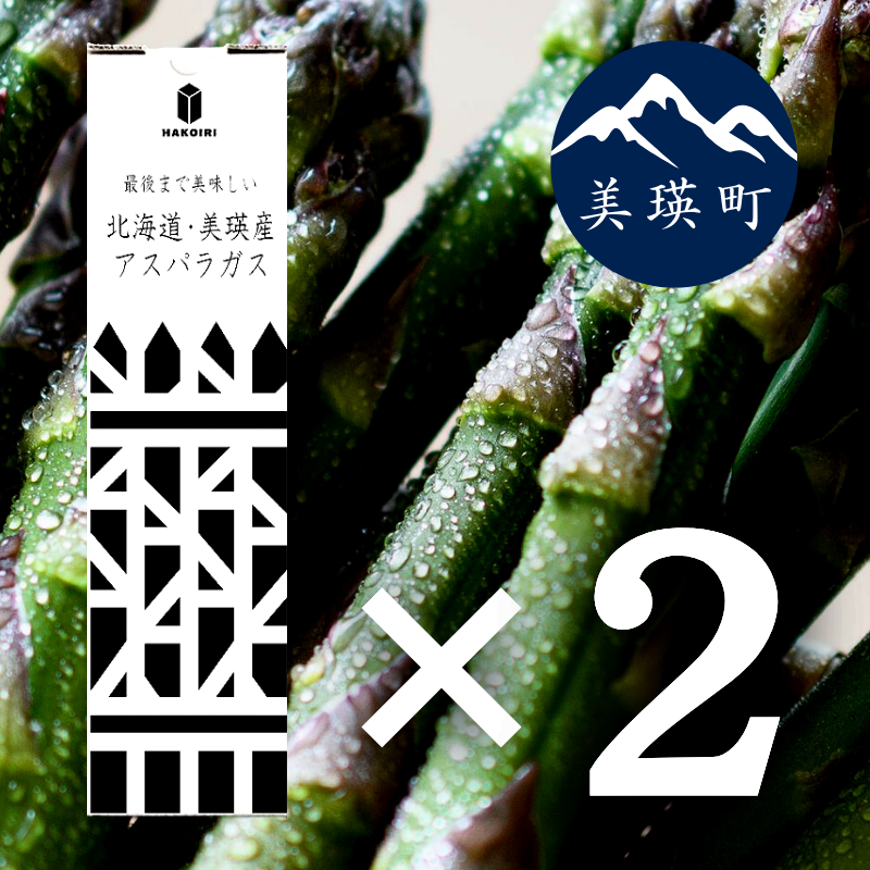 【先行予約】令和8年産！ 幻のアスパラ ラスノーブルHAKOIRI「畑発・冷蔵庫のドアポケット行」×２箱　墫乃字 [020-94]