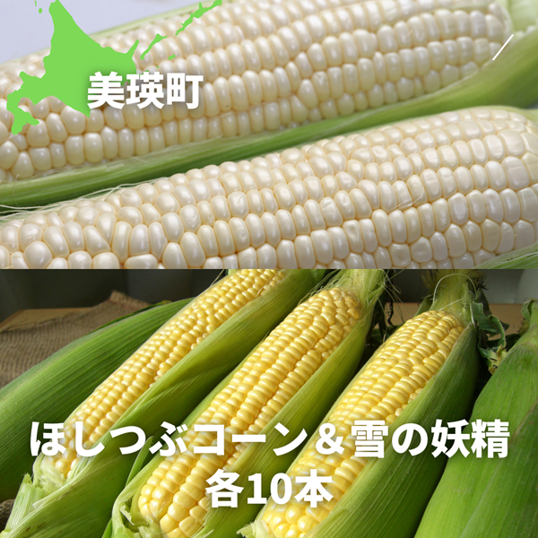 【令和８年産予約受付！】黒木農場　とうもろこし（ほしつぶコーン＆雪の妖精）各１０本[016-92]