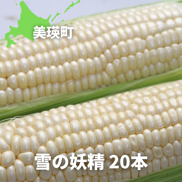 【令和８年産予約受付！】黒木農場　とうもろこし（雪の妖精）２０本[016-91]