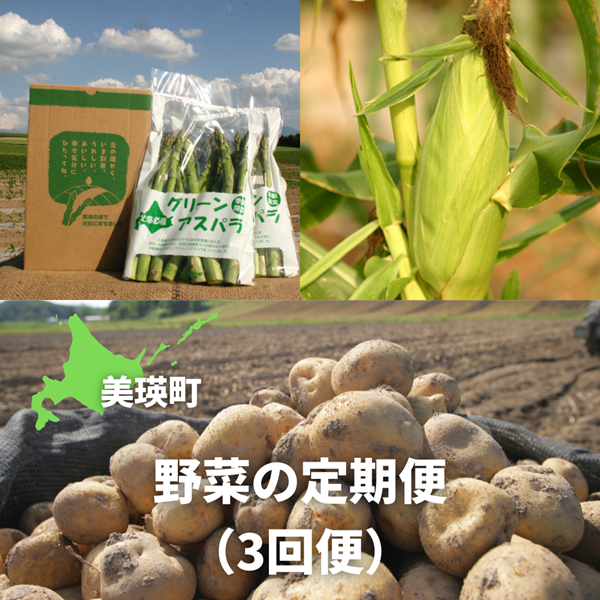 【令和８年産予約受付！】黒木農場　野菜の定期便（３回便）[029-15]