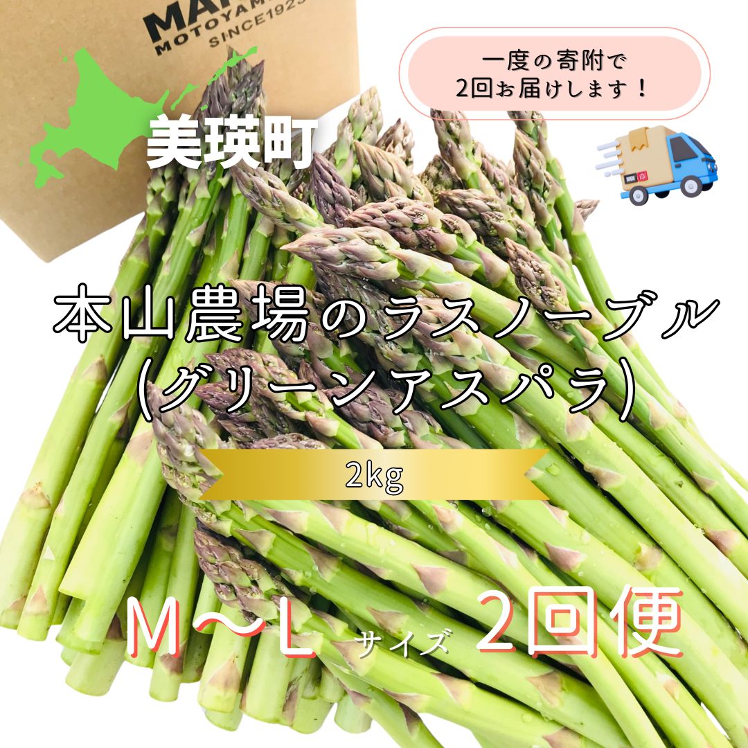【令和8年産先行予約】北海道 美瑛町幻のアスパラ 本山農場のラスノーブル（グリーンアスパラ）M～Lサイズ 2kg ≪2回便≫[040-24]