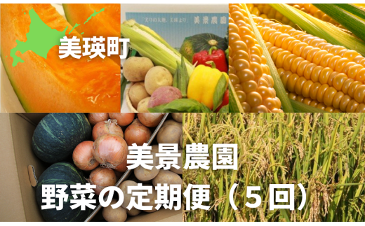 ≪令和８年産予約受付！≫美景農園　野菜の定期便（５回）[085-03]