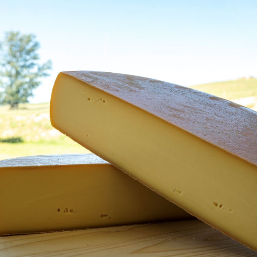 美瑛放牧酪農場　ラクレット・ド・美瑛　ハーフサイズ(2.4kg)[065-12]