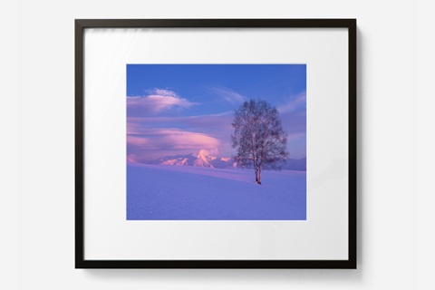 前田真三 額付き写真（黒額） 四切サイズ[120-10]